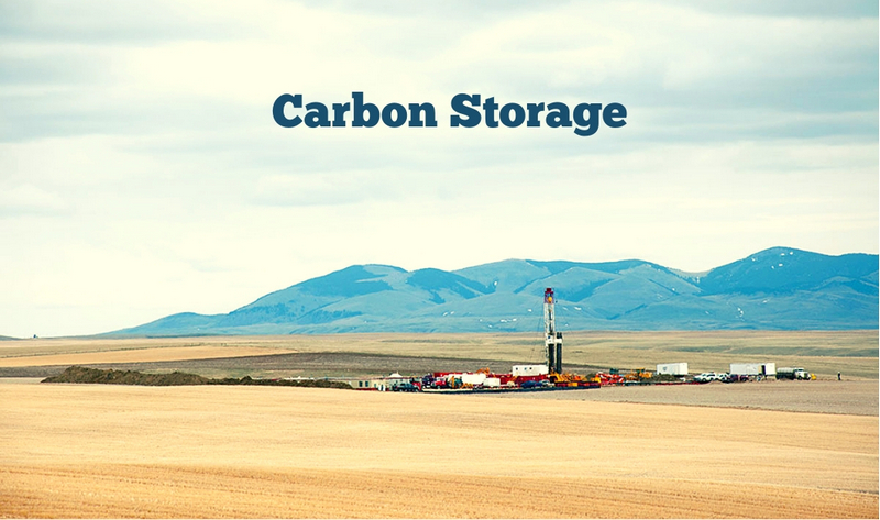 Carbon Storage