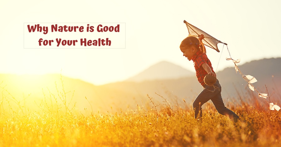 Why Nature is Good for Your Health | The Importance of Nature Stability