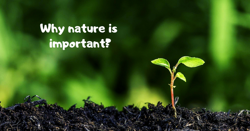 Why nature is important